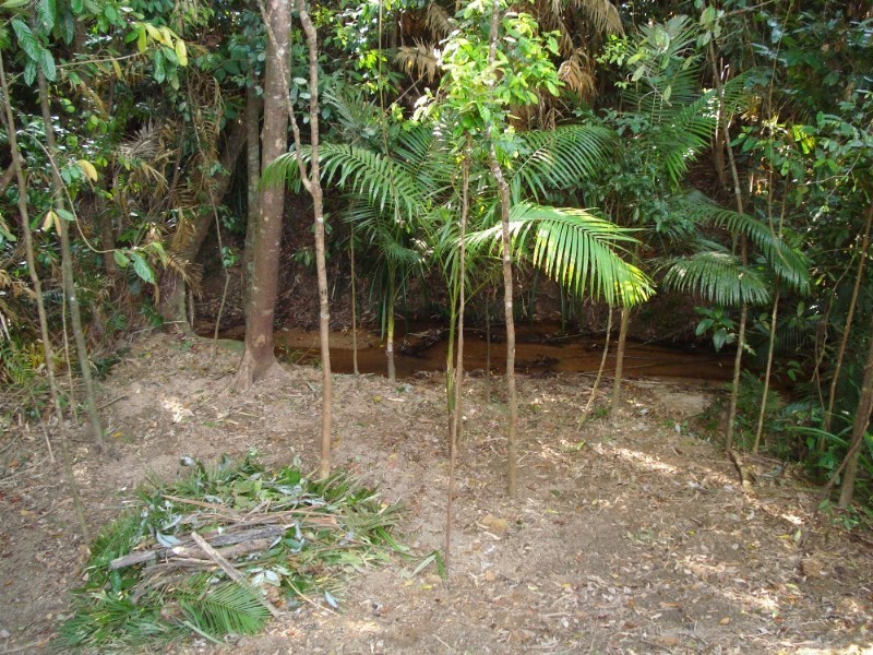 Mission Beach QLD 4852