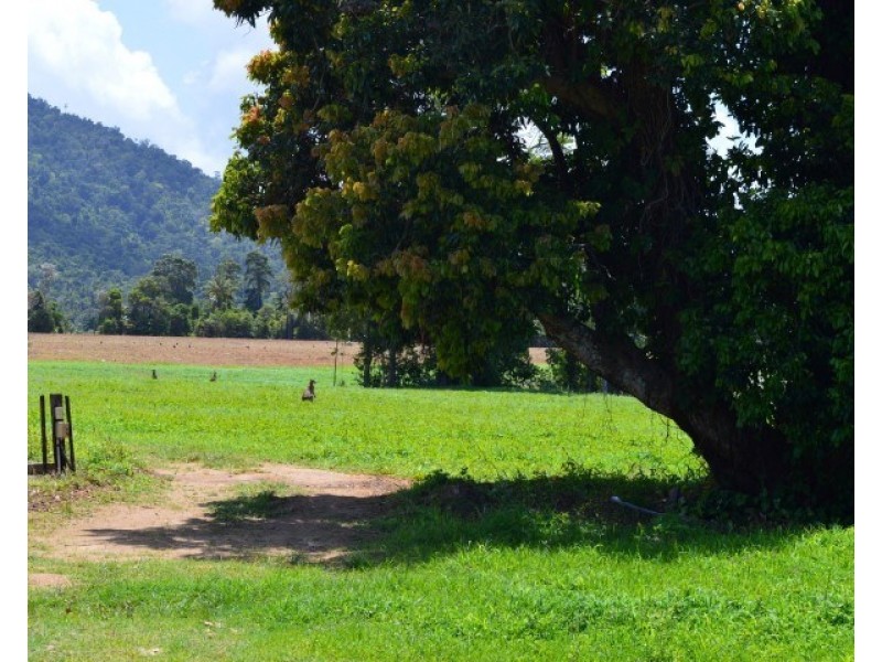 Lot 1 Butler Road, Bingil Bay QLD 4852
