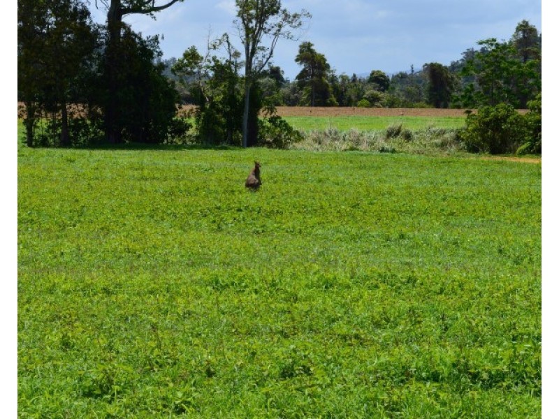 Lot 1 Butler Road, Bingil Bay QLD 4852