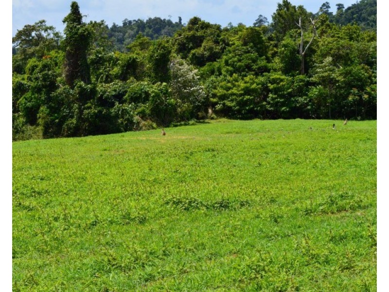 Lot 1 Butler Road, Bingil Bay QLD 4852