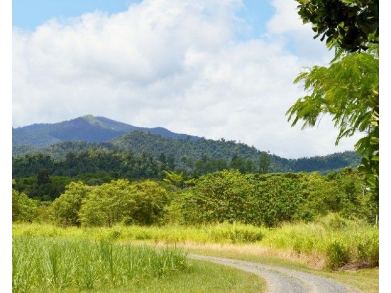 48 Reichardt Road, Mission Beach QLD 4852