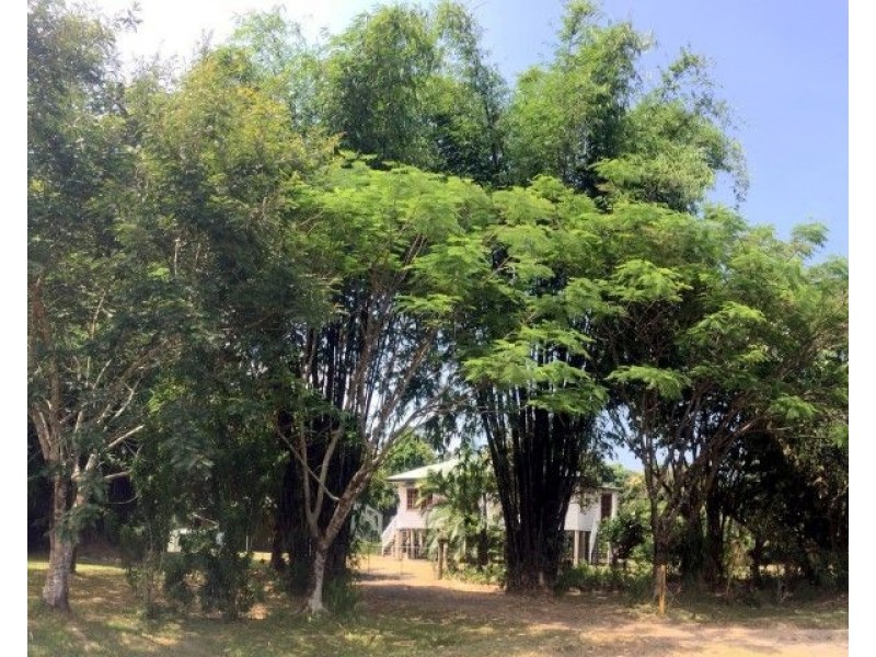 48 Reichardt Road, Mission Beach QLD 4852