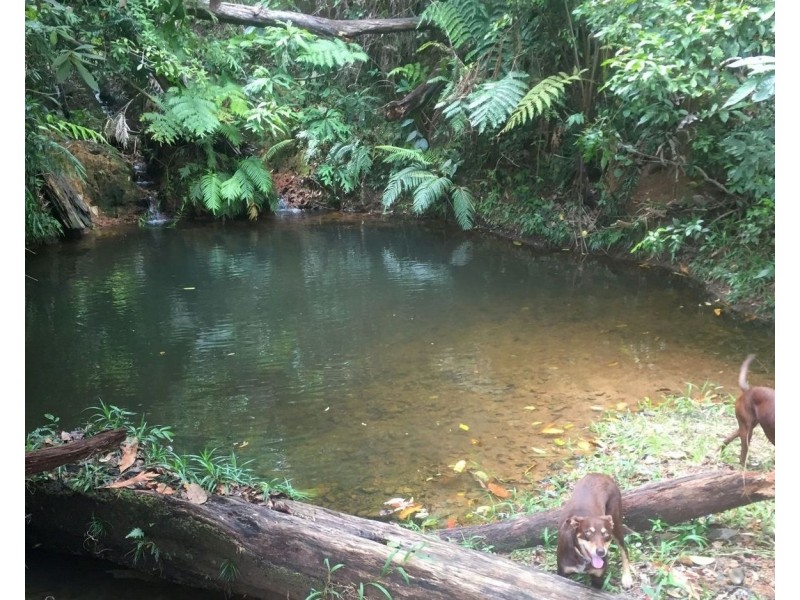 48 Reichardt Road, Mission Beach QLD 4852