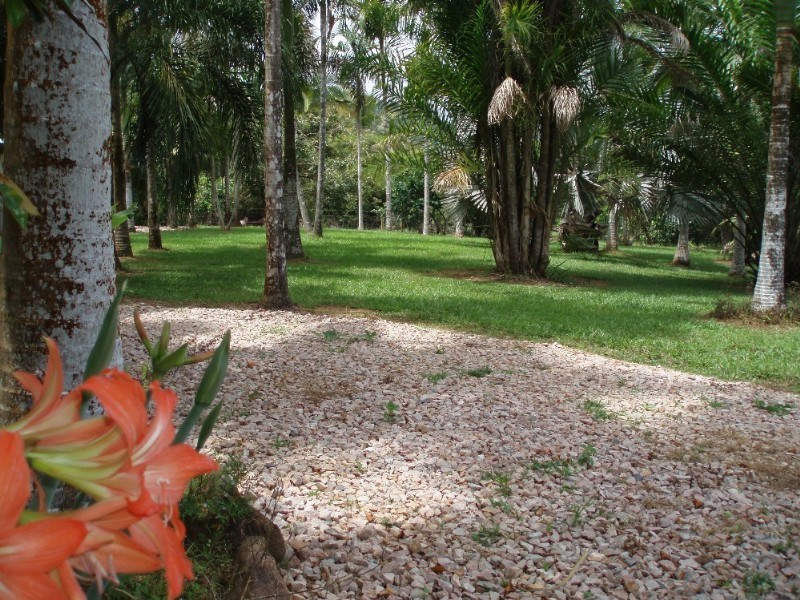 Mission Beach QLD 4852