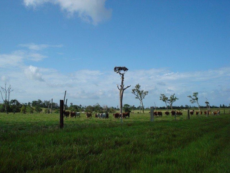 El Arish QLD 4855
