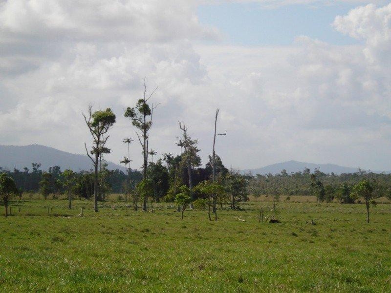 El Arish QLD 4855
