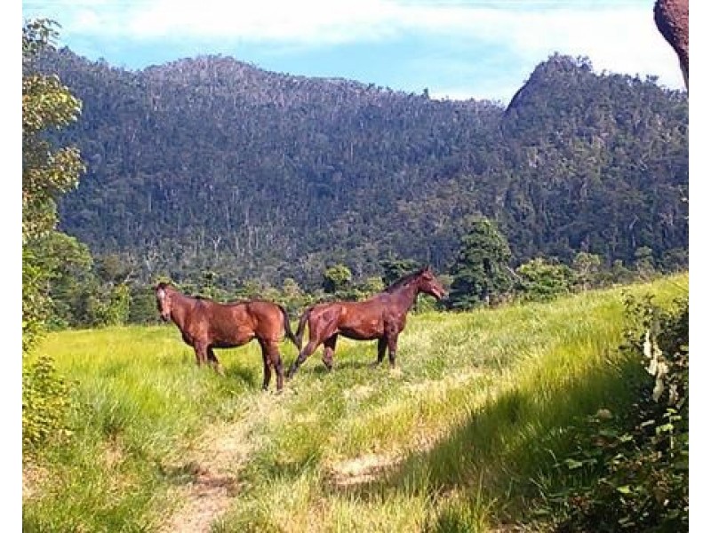 Lot 32 Tully Mission Beach Road, Mission Beach QLD 4852