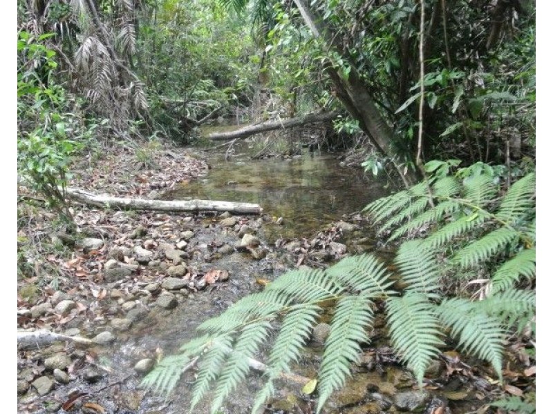 Lot 32 Tully Mission Beach Road, Mission Beach QLD 4852