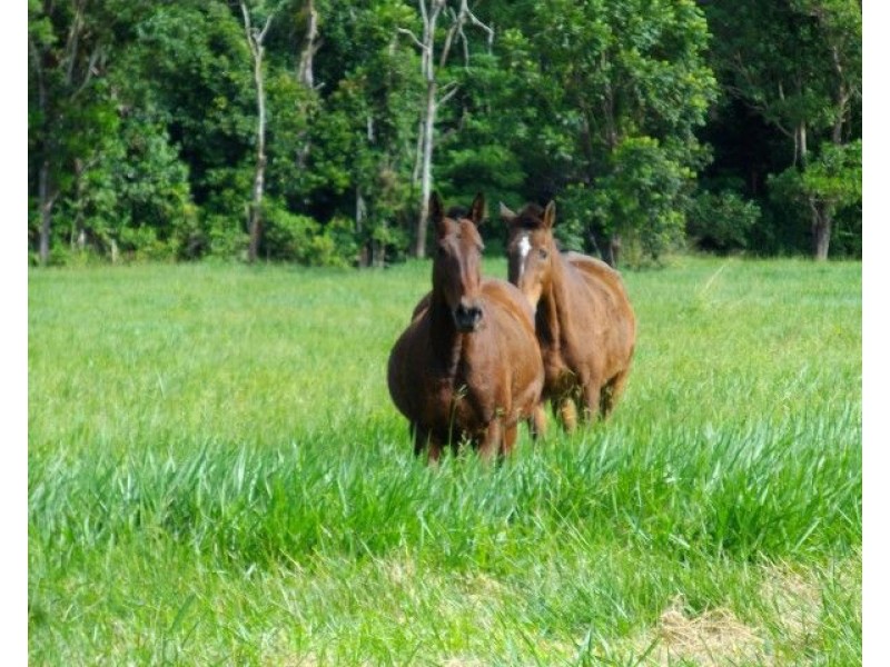 Lot 32 Tully Mission Beach Road, Mission Beach QLD 4852