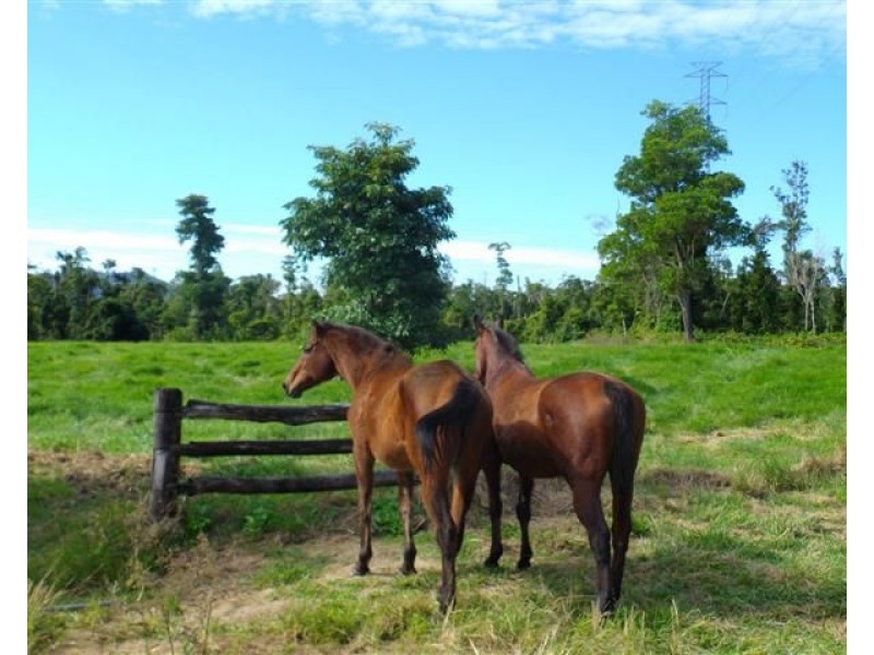 Lot 32 Tully Mission Beach Road, Mission Beach QLD 4852
