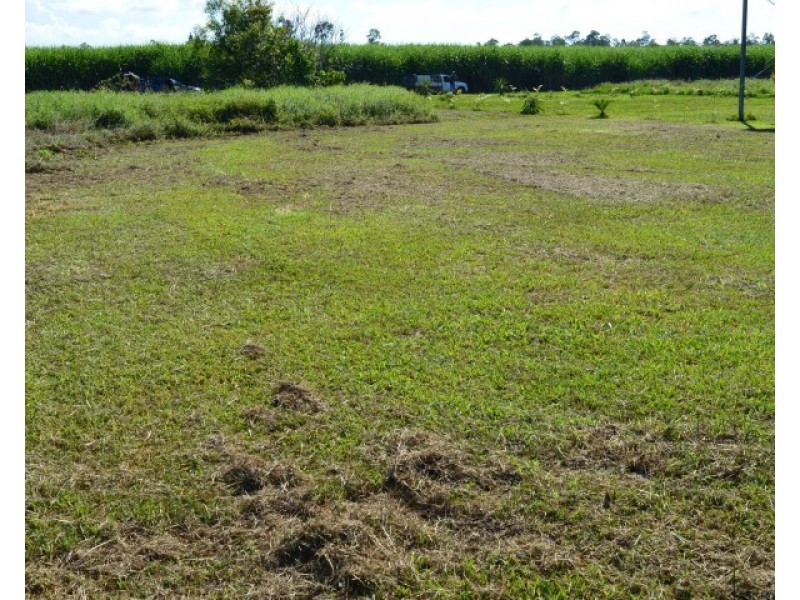 7 Mary Street, Silkwood QLD 4856