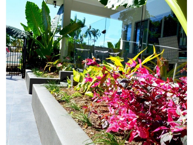 29 Cutten Street, Bingil Bay QLD 4852