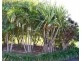 Lot 112 Rise Crescent, Mission Beach QLD 4852