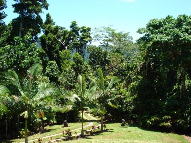 Mission Beach QLD 4852