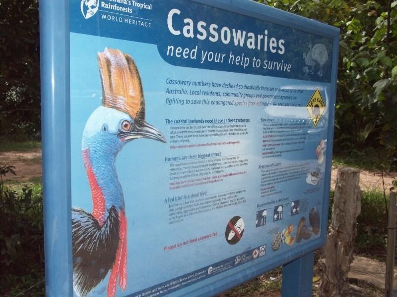 Mission Beach QLD 4852