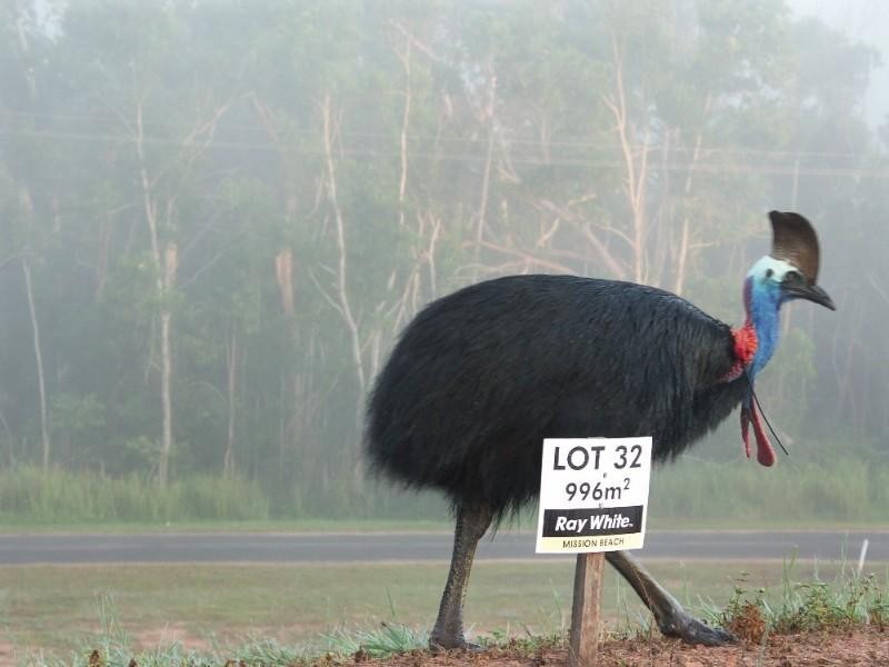 Mission Beach QLD 4852