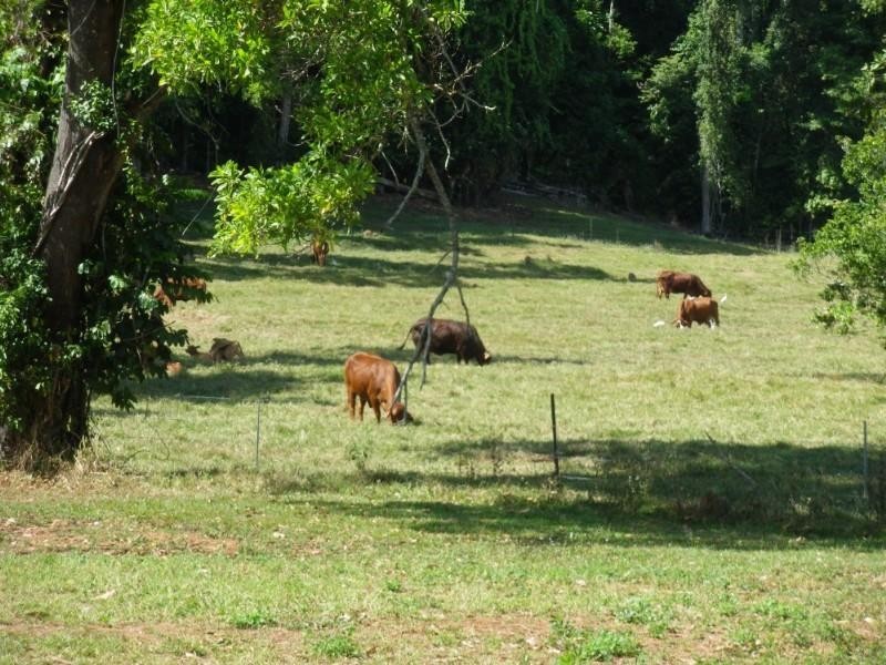 Mission Beach QLD 4852