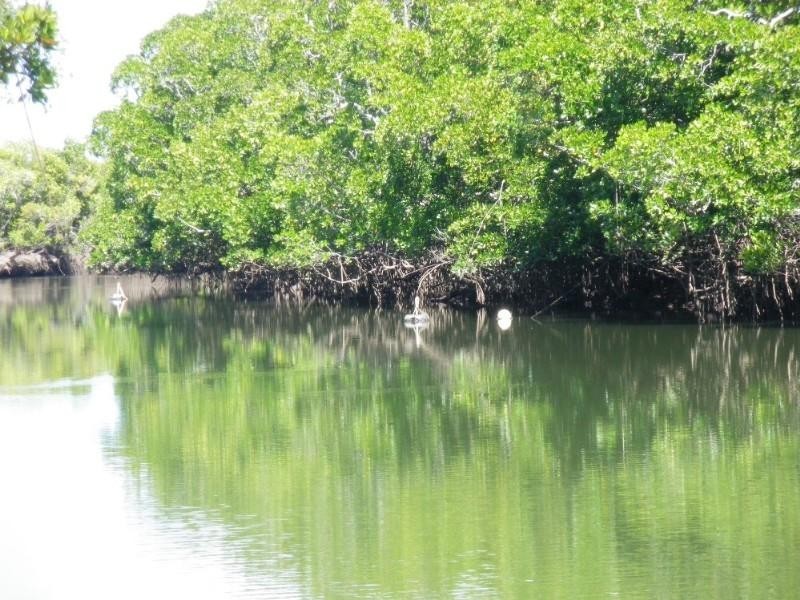 Mission Beach QLD 4852