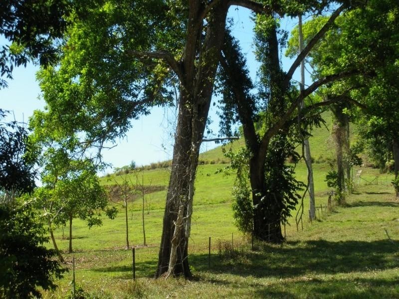 Mission Beach QLD 4852