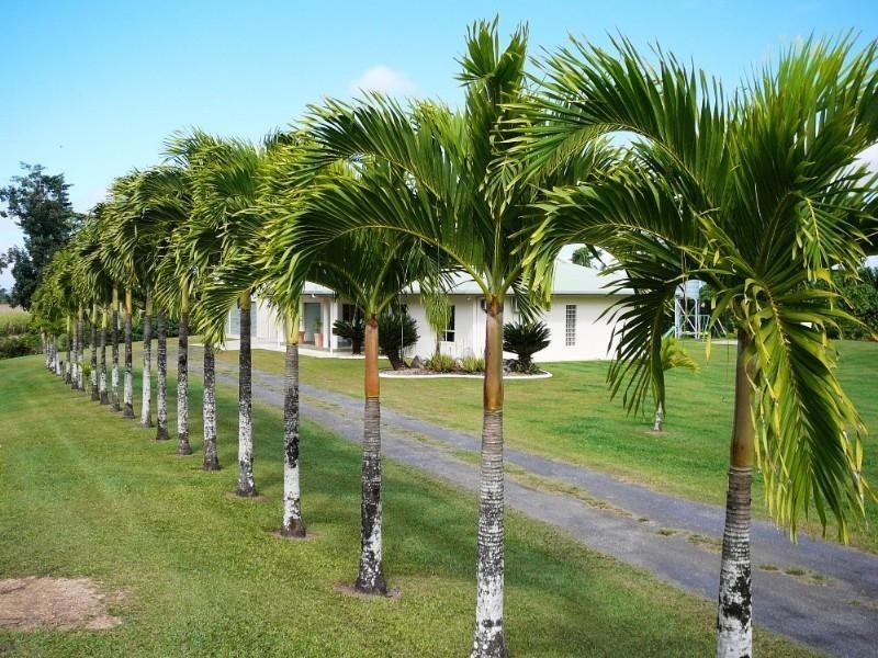 Mission Beach QLD 4852