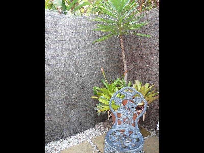 Mission Beach QLD 4852