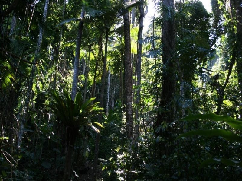 Mission Beach QLD 4852