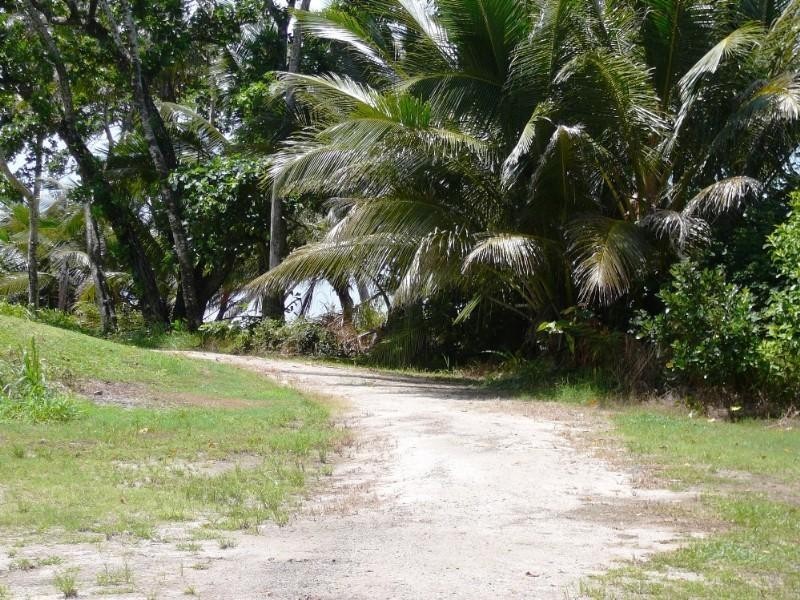 Mission Beach QLD 4852