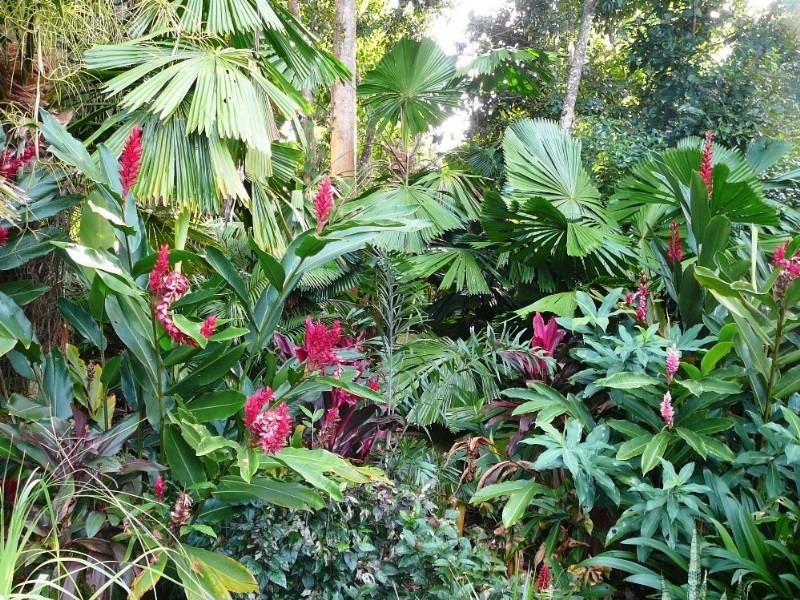 Mission Beach QLD 4852