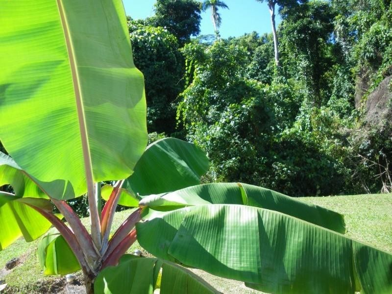 Mission Beach QLD 4852