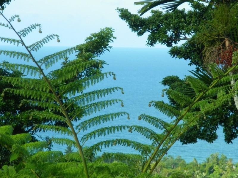 Mission Beach QLD 4852