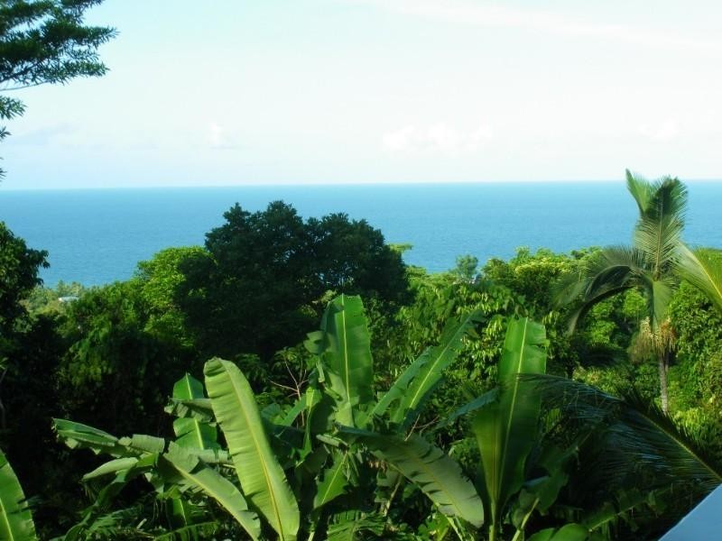 Mission Beach QLD 4852