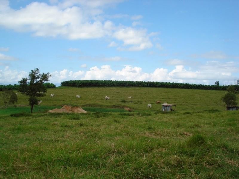 Tully QLD 4854