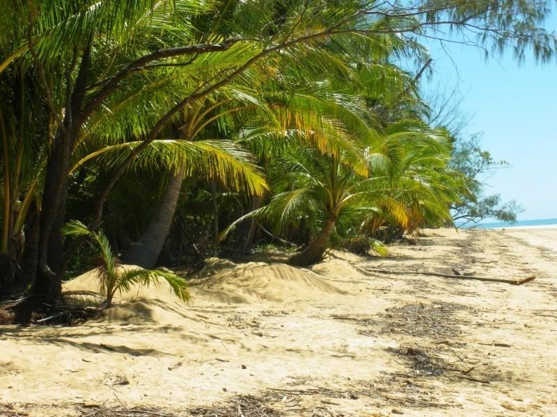 Mission Beach QLD 4852