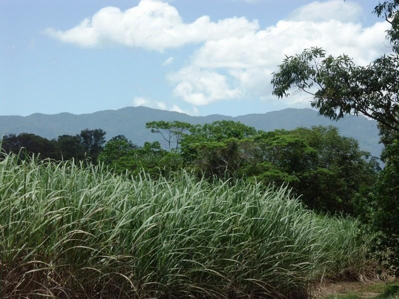 Silkwood QLD 4856