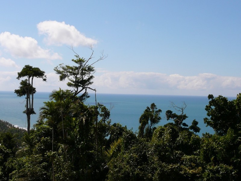 Mission Beach QLD 4852