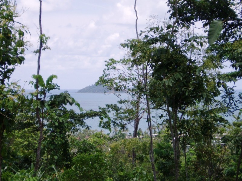 Mission Beach QLD 4852