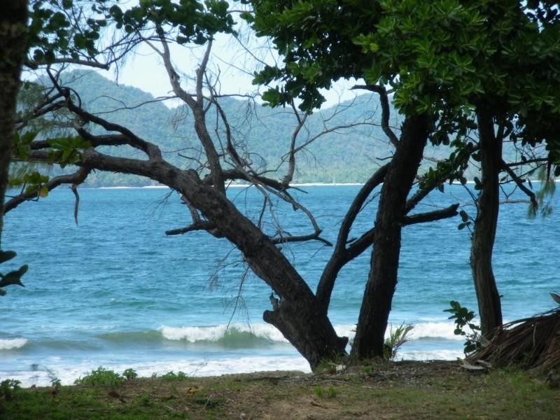 Mission Beach QLD 4852