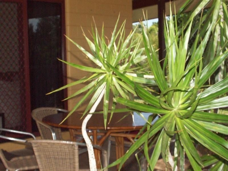 Mission Beach QLD 4852