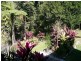 19 Bell Street, Tully QLD 4854