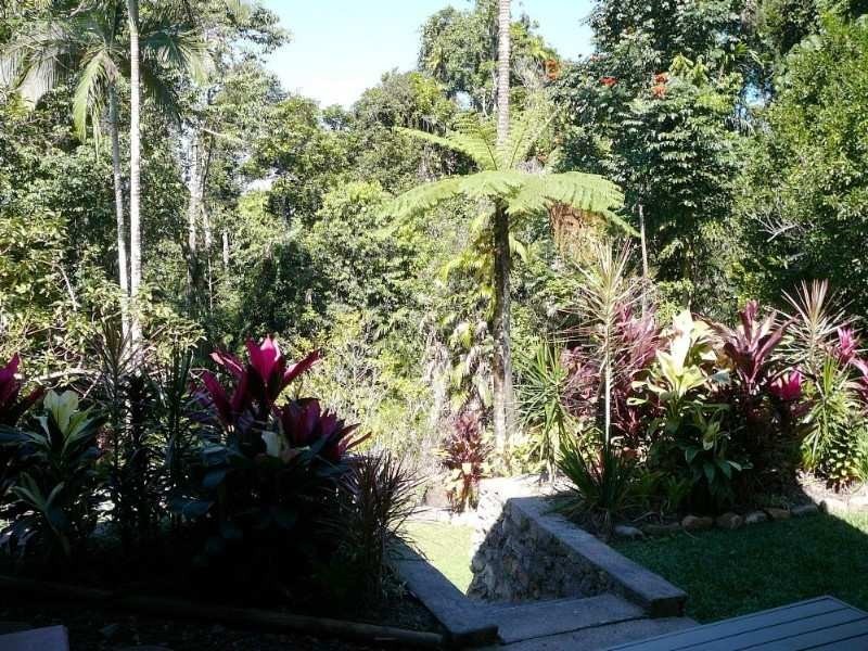 19 Bell Street, Tully QLD 4854