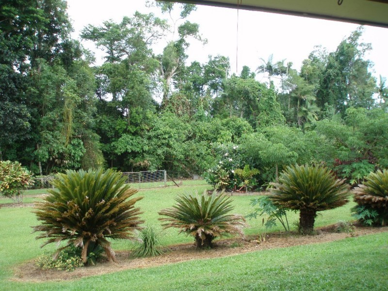 Mission Beach QLD 4852