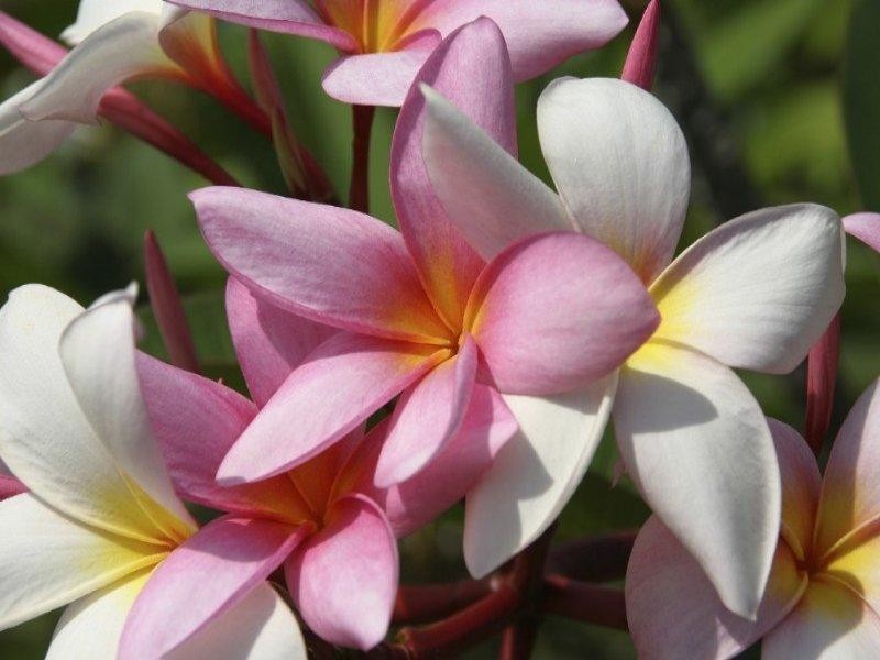 Wongaling Beach QLD 4852