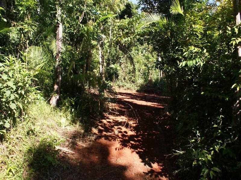 Lot 10 Bingil Bay Road, Midgeree Bar QLD 4852