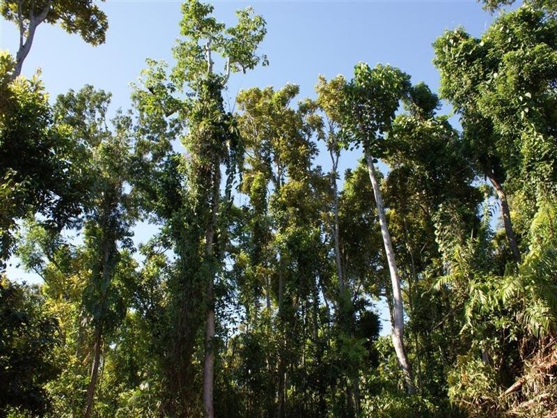 Lot 10 Bingil Bay Road, Midgeree Bar QLD 4852