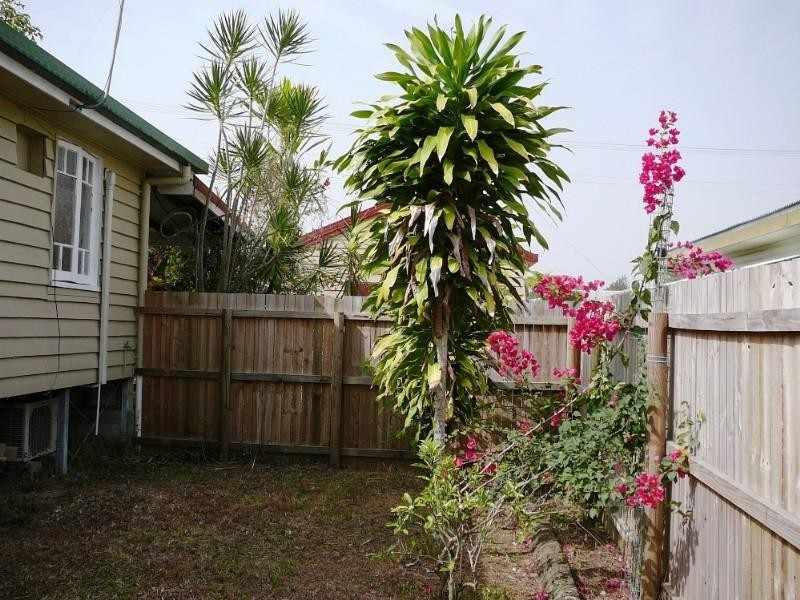 El Arish QLD 4855