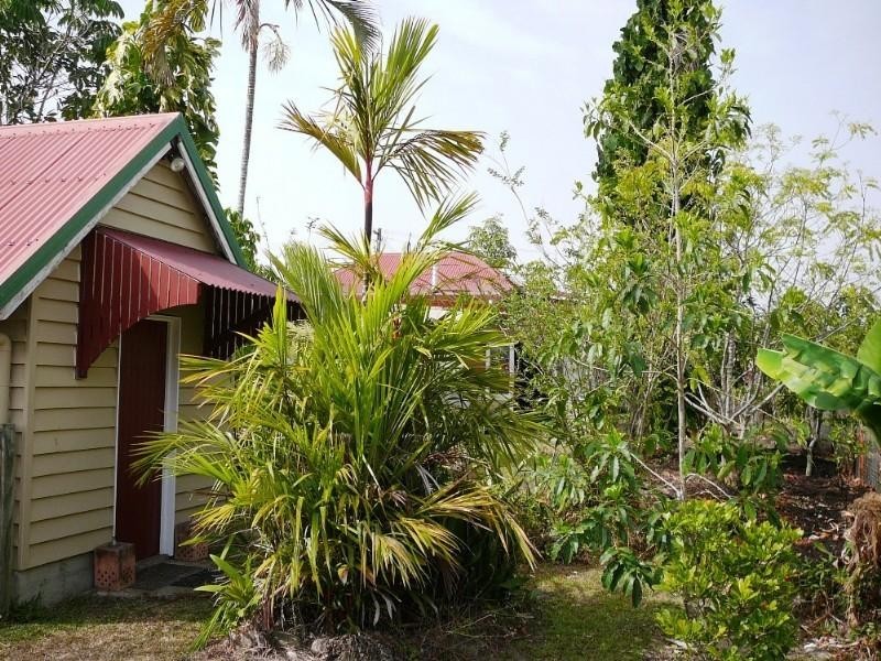 El Arish QLD 4855