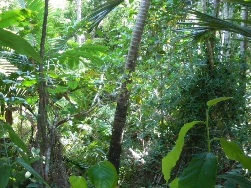 Mission Beach QLD 4852