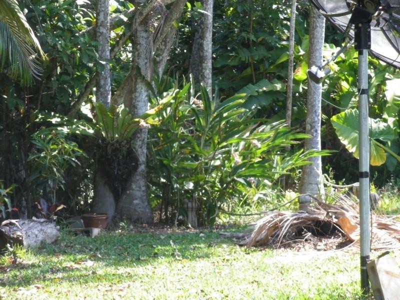 Mission Beach QLD 4852