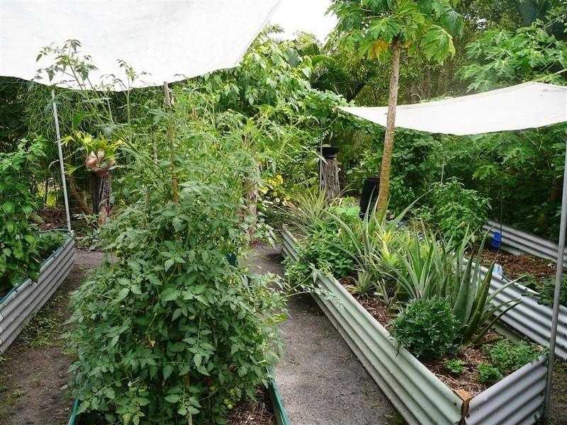 Kurrimine Beach QLD 4871