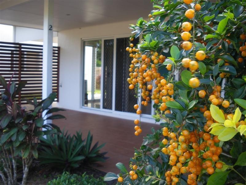 South Mission QLD 4852